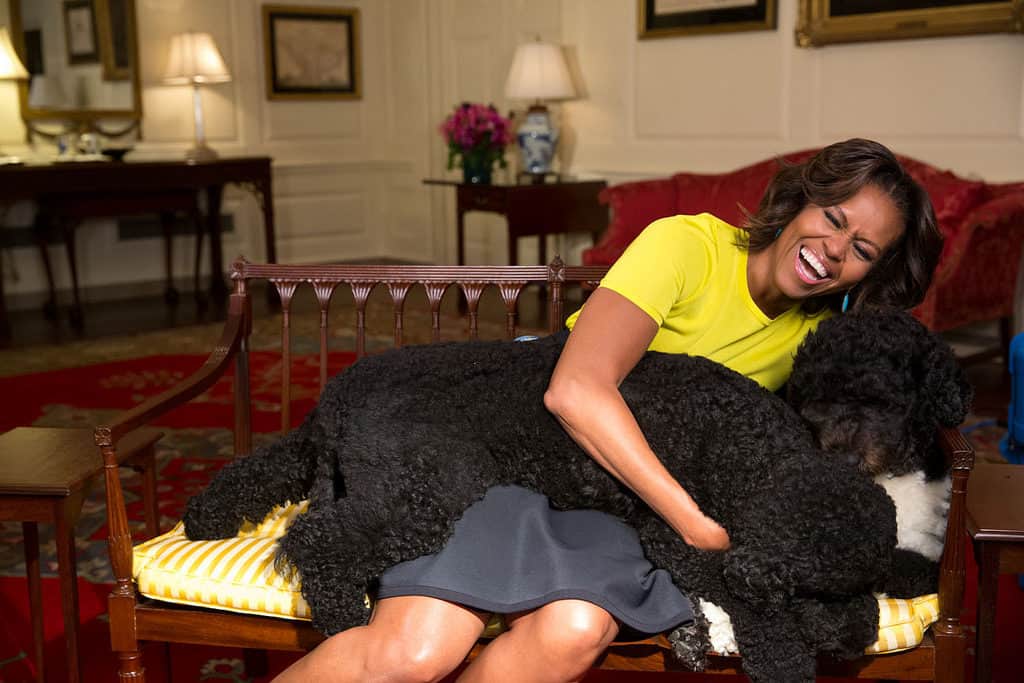 Hair Icon | Michelle Obama Hairstyles 6