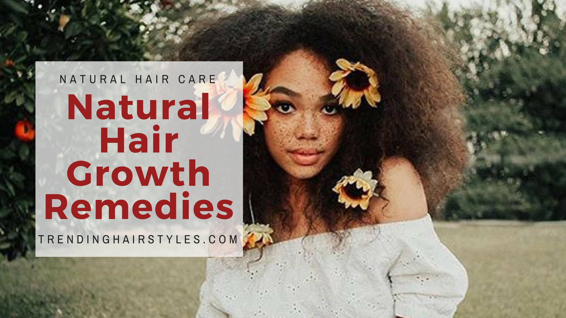 Dyi Natural Remedies For Hair Growth For Black Women